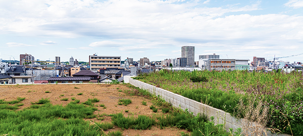 再開発事業